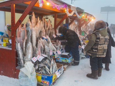 О строганине