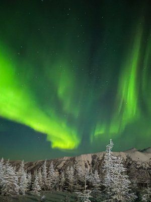 «Discovery of Arctic Yakutia»