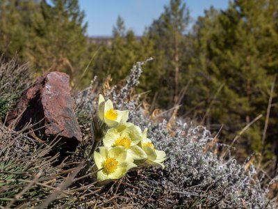 К Древним вулканам долины Туймаада