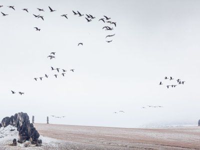 Каменные Люди Сундуруна