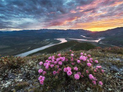 Карпухин Сергей