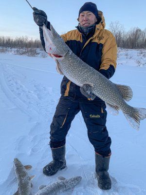 Эксклюзивная трофейная рыбалка на Вилюе: нетронутые места, гарантированный улов.