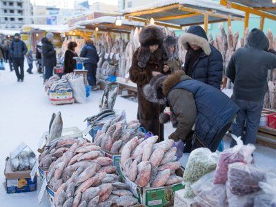 О строганине