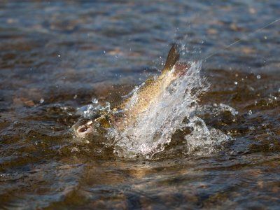 Советы по рыбалке со своего опыта