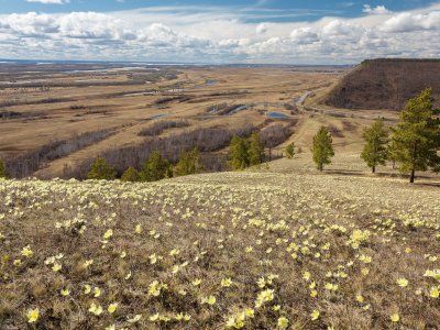 Табагинский мыс