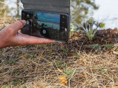 Кангаласский Мыс