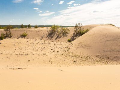 Тукулан Самыс Кумага