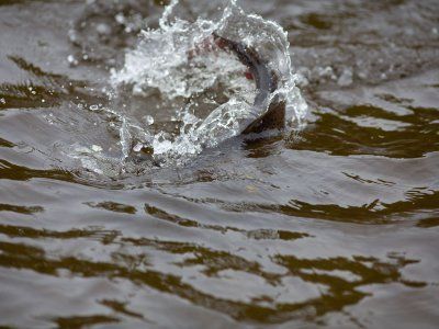 Советы по рыбалке со своего опыта