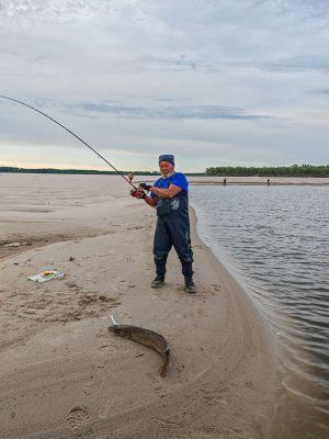 Трофейная рыбалка на реке Вилюй. Маршрут: п. Кысыл Сыр - устье р. Вилюй (до Лены)