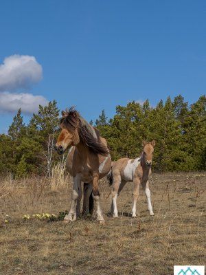 Весеннее пробуждение. Пешая экскурсия по Табагинскому Мысу