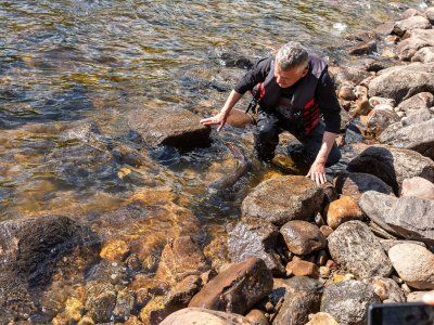 Таймени Мулама и Идюма