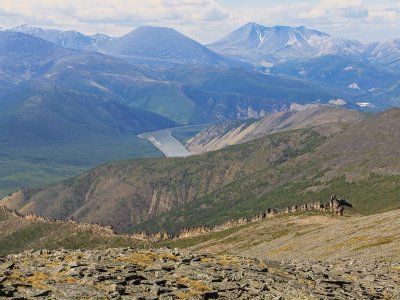 Река Индигирка