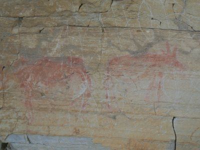 Наскальные рисунки реки Амга