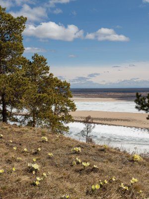 Весеннее пробуждение. Пешая экскурсия по Табагинскому Мысу