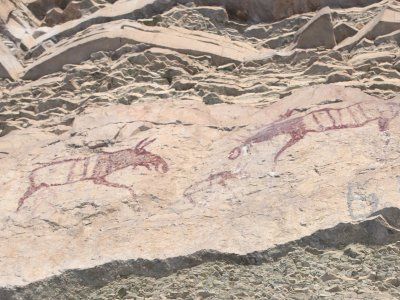 Наскальные рисунки Средней Лены