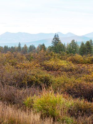 Автопутешествие «Якутск – Оймякон - Магадан» (Летний сезон)