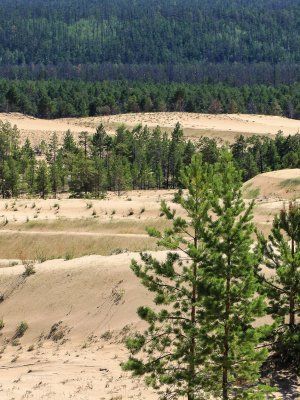Сплав по реке Лена с посещением Ленских Столбов, тукуланов-песков Самыс Кумага и Кысыл Элэсин