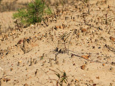 Диринг Юрях