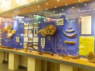 Музей Мамонта