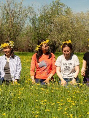 Луковый сплав