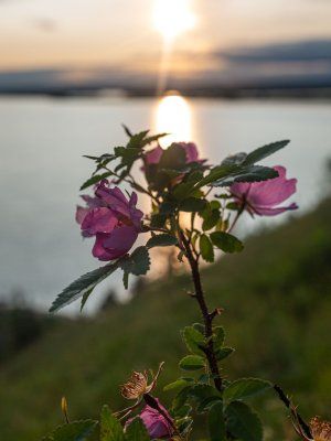 Сплав по реке Лена с посещением Ленских Столбов, тукуланов-песков Самыс Кумага и Кысыл Элэсин