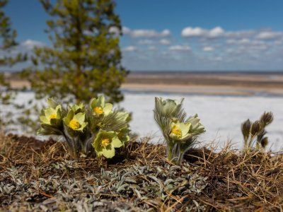 Кангаласский мыс