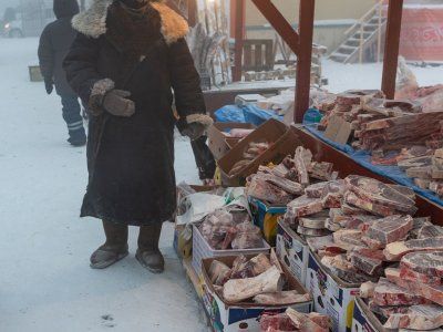 О строганине