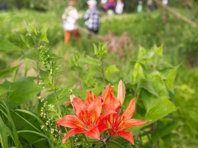 Отзывы туристов по водным походам выходного дня "По тукуланам реки Лена"