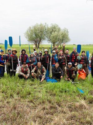 Луковый сплав