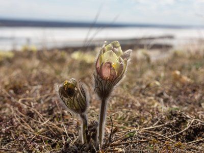 Табагинский мыс