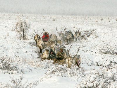 Рекомендации по одежде, обуви, снаряжению в зимних турах