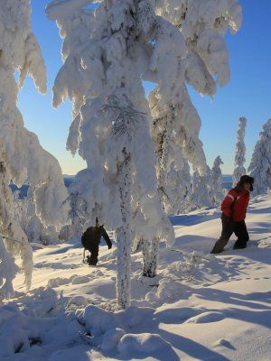 Арктическая автоэкспедиция "Индигирка". Якутск – Оймякон – Чокурдах – Русское Устье