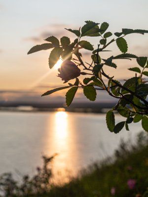 Сплав по реке Лена с посещением Ленских Столбов, тукуланов-песков Самыс Кумага и Кысыл Элэсин