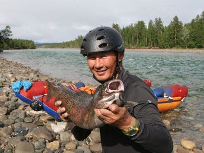 Местников Михаил Иванович