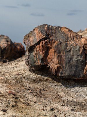 К древним вулканам Туймаады. Молотовская Падь, наскальные рисунки Туймаады