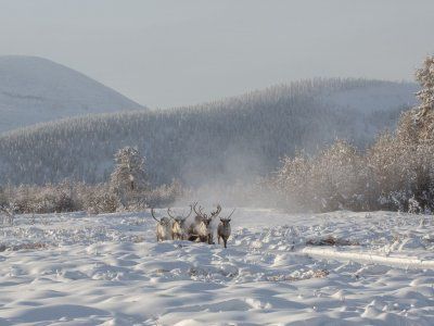 Путешествия по Якутии