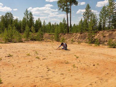 Диринг Юрях