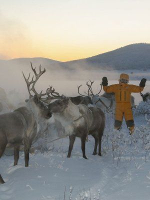 Арктическая автоэкспедиция "Индигирка". Якутск – Оймякон – Чокурдах – Русское Устье