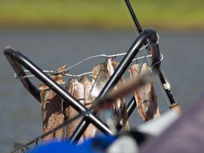 Советы по рыбалке со своего опыта