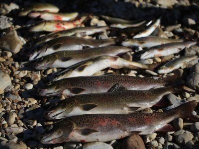 Советы по рыбалке со своего опыта