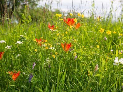 Отзывы туристов по водным походам выходного дня "По тукуланам реки Лена"