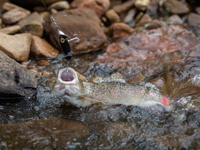 Советы по рыбалке со своего опыта