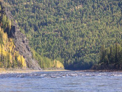 Таймени Мулама и Идюма