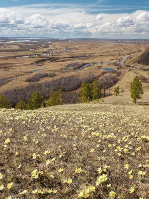 Весеннее пробуждение. Пешая экскурсия по Табагинскому Мысу