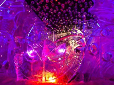 Царство Вечной Мерзлоты