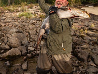 Таймень. Все о самом крупном лососе нашей планеты.