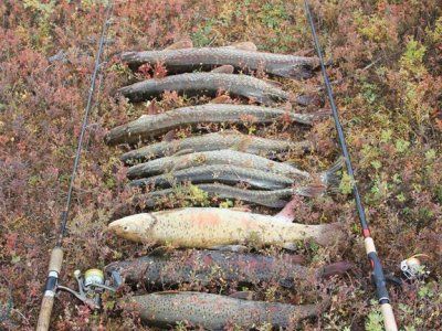 Советы по рыбалке со своего опыта