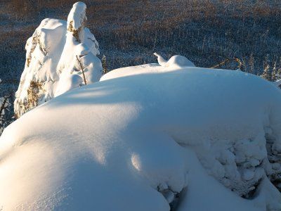 Река Синяя. Синские столбы