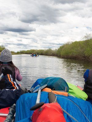 Луковый сплав