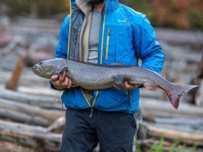 Таймени Мулама и Идюма